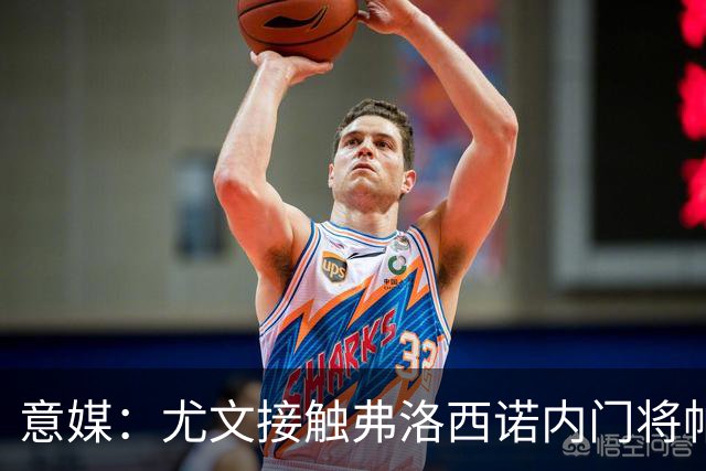意媒：尤文接触弗洛西诺内门将帕尔米萨尼，身价约600万欧