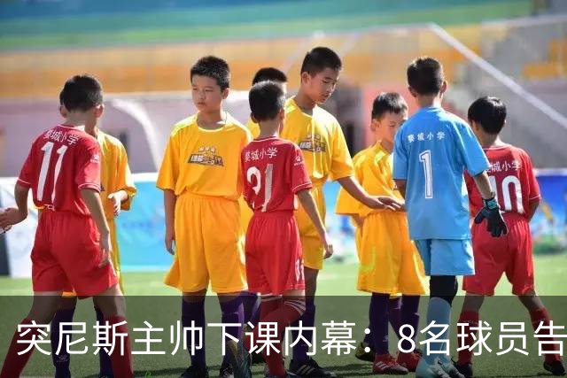 突尼斯主帅下课内幕：8名球员告知主帅要走一起走 结果未兑现承诺